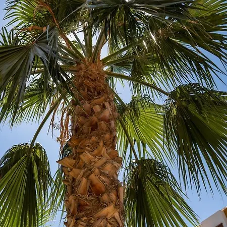 Palms La Recoleta Punta Prima Apartment *